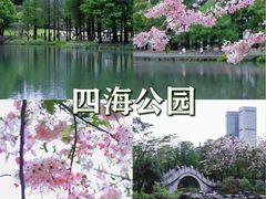 -四海公园(南山区)