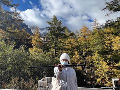 -稻城亚丁风景区-电瓶观光车售票处