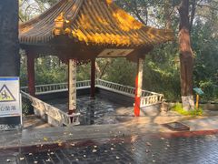 -北极阁公园