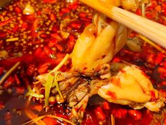 -蛙两只美蛙鱼头火锅(恒茂店)