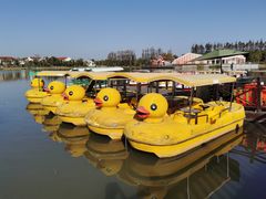 -上海长兴岛郊野公园