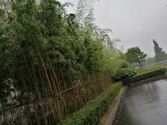 -行者书屋大堂吧 ·下午茶(南京圣和府邸酒店)