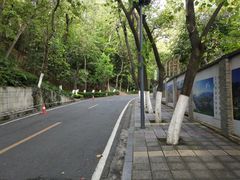 -攀枝花公园