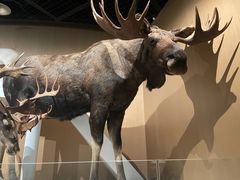 -陕西自然博物馆