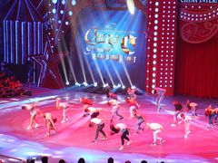 -珠海横琴长隆《卡卡虎奇遇记》