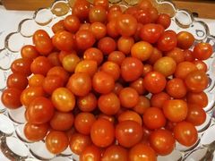 -深圳维景酒店-维景轩