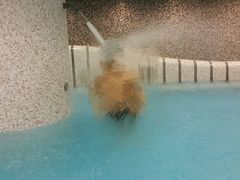 -国家会议中心大酒店