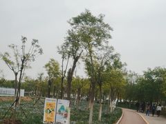 -天津东丽湖风景区