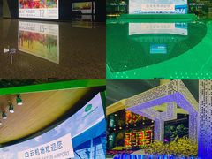 -广州白云国际机场-T2航站楼