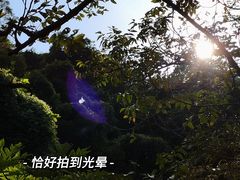 -海口火山口国家地质公园