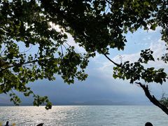 -捞渔河湿地公园