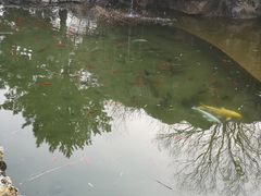 -盛世南宫影视城(北普陀影视城)