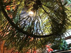 -胡桃里音乐餐厅(陶溪川店)(川湘赣菜·世界百大酒庄直供红酒·音乐表演)