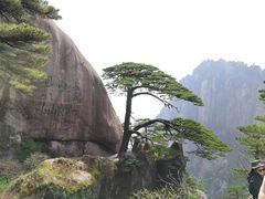 -黄山风景区