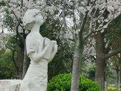-滴水湖