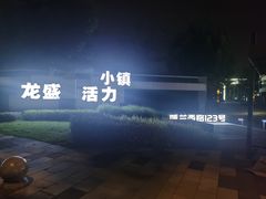 -龙盛活力小镇
