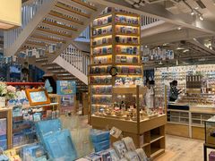 -猫的天空之城概念书店(北戴河蔚蓝海岸店)