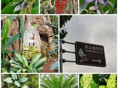 -上海辰山植物园