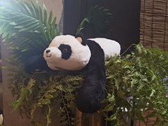 -了凡国风主题茶馆·咖啡(武侯祠锦里店)