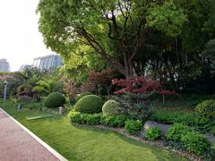 -北外滩滨江绿地
