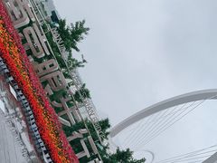 -南京眼步行桥