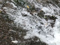 -湖洞水自然风景区