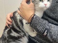 -瑞派宠物医院·犬猫全科·猫友好(宾水西道店)