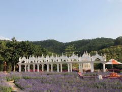 -龙凤山庄影视度假村