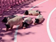 -渔岛海洋度假区