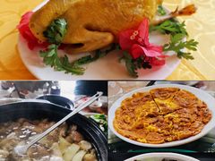 -兴隆槟榔园休闲农庄