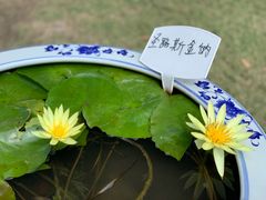 -上海滨江森林公园