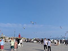 -星海广场