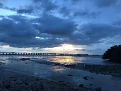 -宝安西湾红树林湿地公园