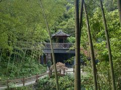 -十八棵（老龙井）御茶园(老龙井店)