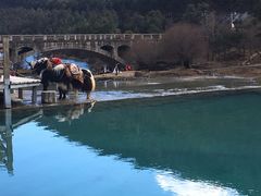 -老石黑山羊毛驴肉火锅(金凯广场店)