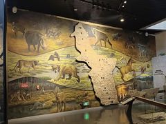 -北京周口店北京人遗址博物馆