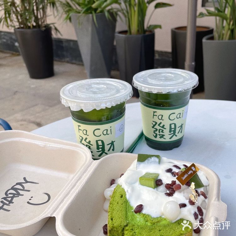常州一家可以免费撸狗狗的下午茶店