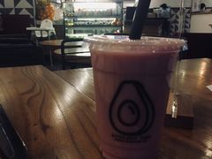 -油梨树 AVOCADO TREE(亮马桥店)