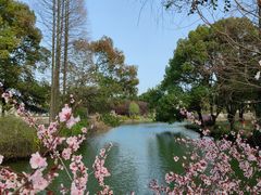 -苏州上方山国家森林公园