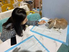 -RU DUCK柯尔鸭公社·撸鸭俱乐部·羊驼·小香猪