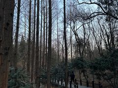 -国家植物园南园