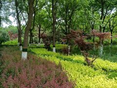 -大兴滨河森林公园