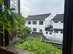 -普洱茶府(博乐广场店)