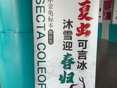 -吉林省自然博物馆