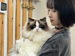 -青奢宠物·青奢猫舍