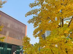 -VOYAGE COFFEE(北锣鼓巷店)