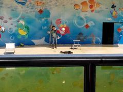 android_upload_pic-西安秦岭野生动物园