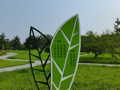 -太阳宫公园
