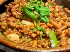-煲煲好(朝阳门店)