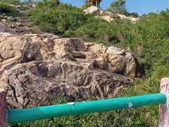 -广东惠东海龟国家级自然保护区